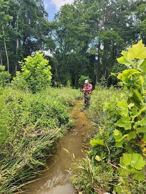 Hollaway field scientist working in a wooded creek