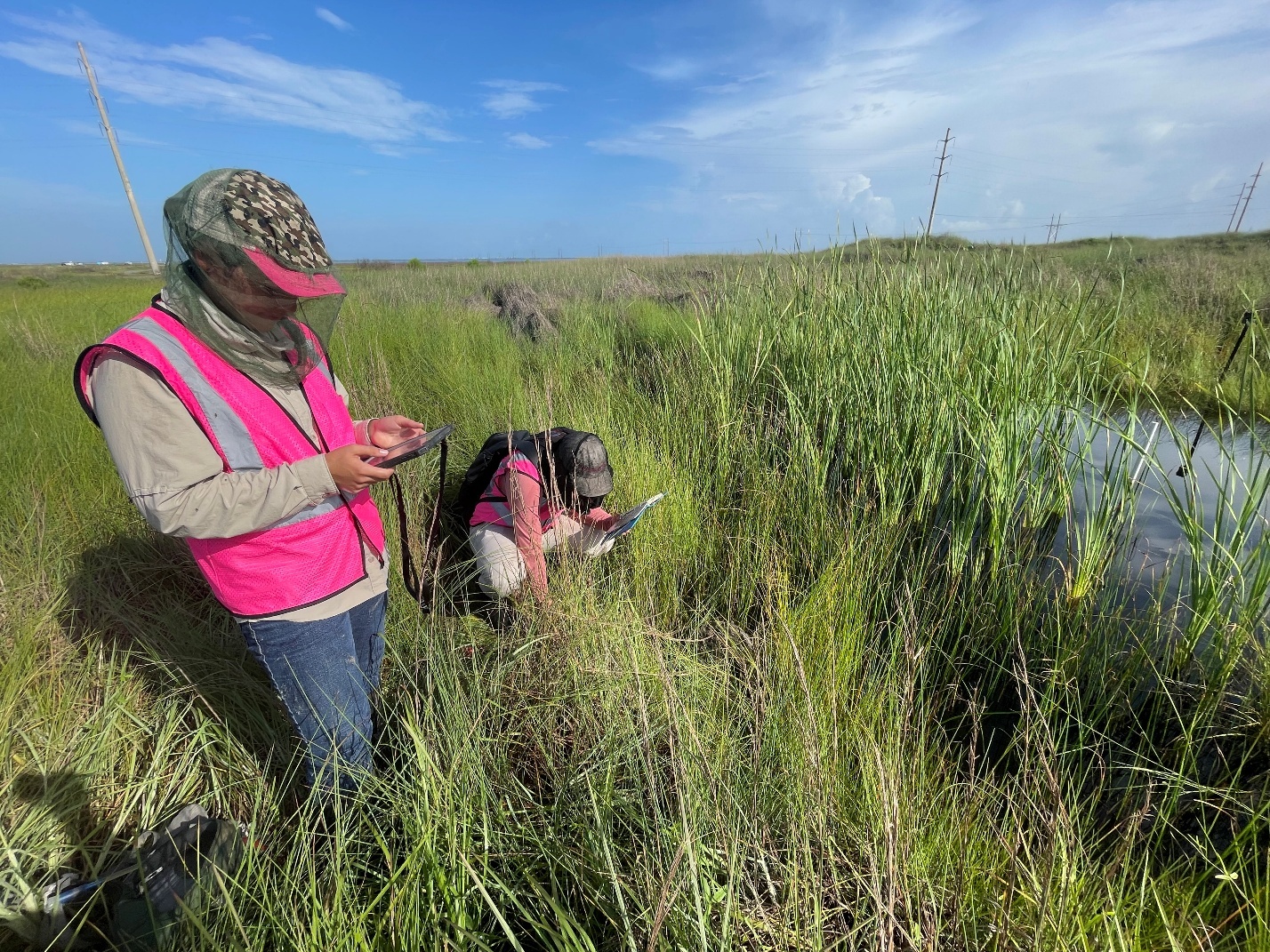 Hollaway environmental team supporting a utility-scale solar project in Texas