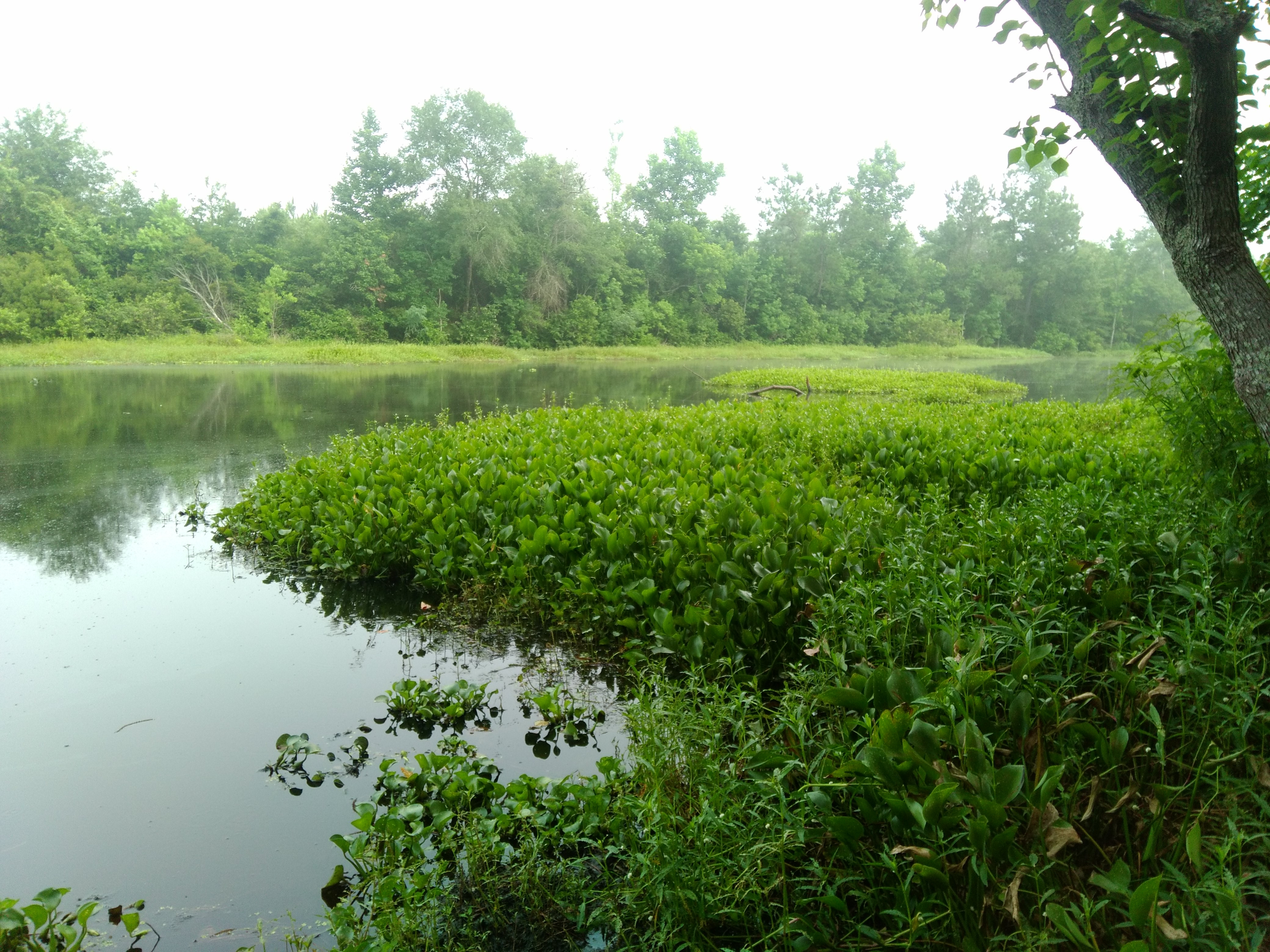 Clean Water Act